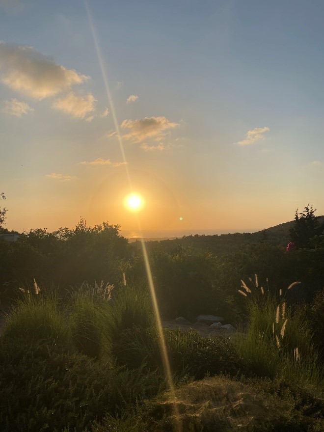 Dispatch from Ein Hod and Occupation Normalization