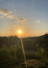 Dispatch from Ein Hod and Occupation Normalization